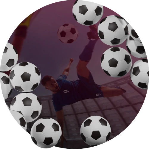 Panda sports net