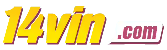 Vm store - Bkbbet