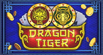 Bingo ao vivo online